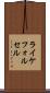 ライケフォルセル Scroll