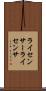 ライセンサー Scroll