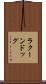 ラクーンドッグ Scroll