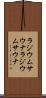 ラジウムサウナ Scroll