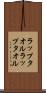 ラップタオル Scroll