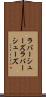 ラバーシューズ Scroll