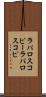 ラパロスコピー Scroll