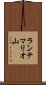 ランテマリオ山 Scroll