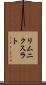 リムニクスラト Scroll