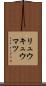 リュウキュウマツ Scroll