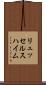 リュッセルスハイム Scroll