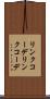 リンクコーデ Scroll