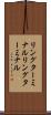 リングターミナル Scroll