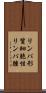 リンパ形質細胞性リンパ腫 Scroll