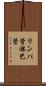 リンパ管 Scroll