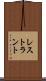 レストラント Scroll