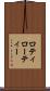 ロティ Scroll
