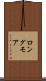 ロングモア Scroll