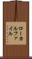 ローカルファイル Scroll