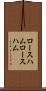 ロースハム Scroll