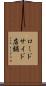 ロードサイド店舗 Scroll