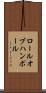 ロールオブハンポール Scroll
