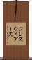 ワレズ Scroll