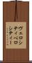 ヴェロシティ Scroll