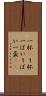 一杯(P) Scroll