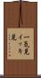 一気見 Scroll