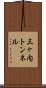 三ヶ内トンネル Scroll
