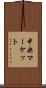 中央マーケット Scroll