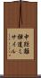 中距離弾道ミサイル Scroll