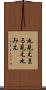 丸見え Scroll