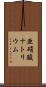 亜硝酸ナトリウム Scroll