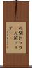 人間ドック(P) Scroll