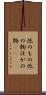 他のもの Scroll