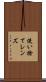 使い捨てレンズ Scroll