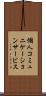 個人コミュニケーションサービス Scroll