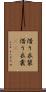 借り衣装 Scroll