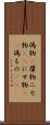 偽物(P) Scroll