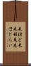 先ほど来 Scroll