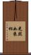 光照如來相 Scroll