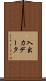 入出力データ Scroll