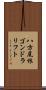 八方尾根ゴンドラリフト Scroll