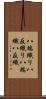 八端織り Scroll