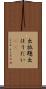 出放題 Scroll