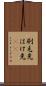 刷毛先 Scroll