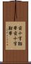前十字靱帯 Scroll