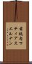 前鈍内マティアスエルナン Scroll