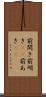 前開き Scroll