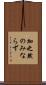 加之 Scroll