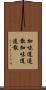 加味逍遥散 Scroll