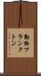 動物プランクトン Scroll